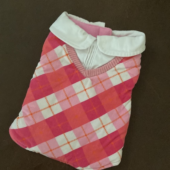🎊HP🎊EUC Pre-Loved dog collared sweater-Adorable and super Super Cute